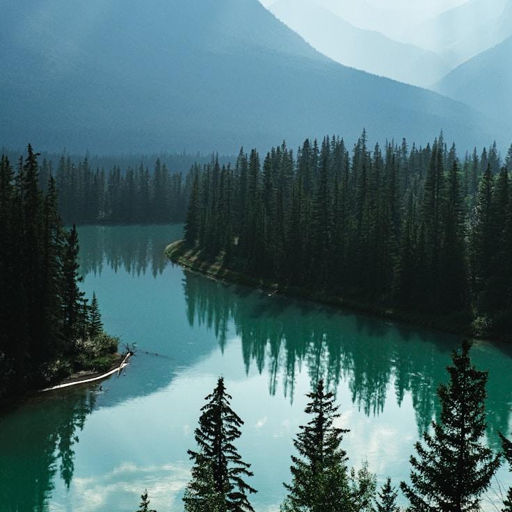 Nature travel hero image